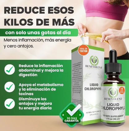 BENEVOLENT™ CLOROFILA LIQUIDA + REGALO ESPECIAL