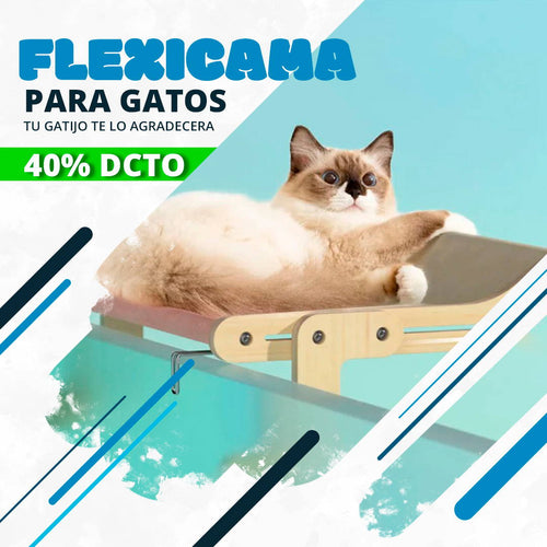 Flexicama para Gato Bedcat®