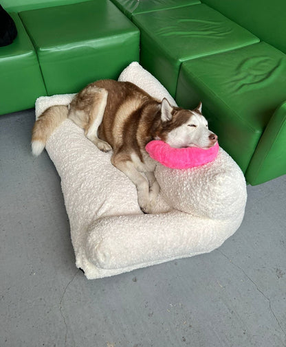 SofPet - Sofá para Mascotas