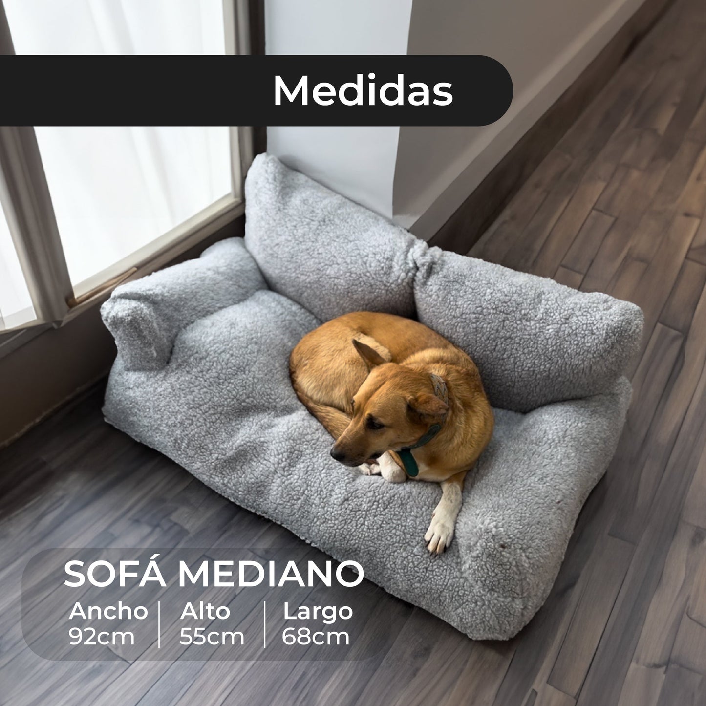 SofPet - Sofá para Mascotas