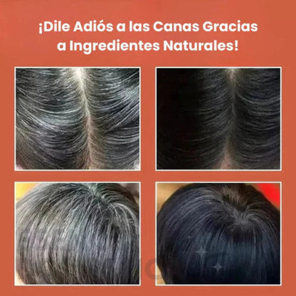 Adiós Canas y Frizz