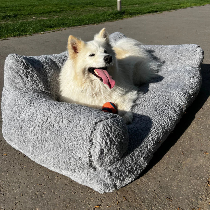 SofPet - Sofá para Mascotas