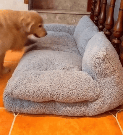 SofPet - Sofá para Mascotas