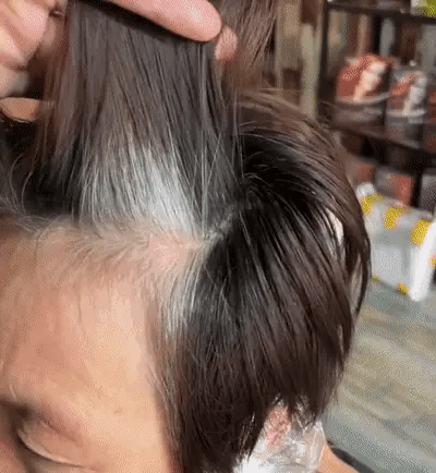 Adiós Canas y Frizz